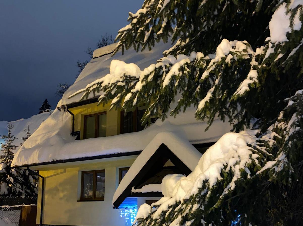 Willa Jagiellonka Apartamenty W Centrum, Parking * Zakopane